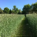Billund - Assengaard 3* Give