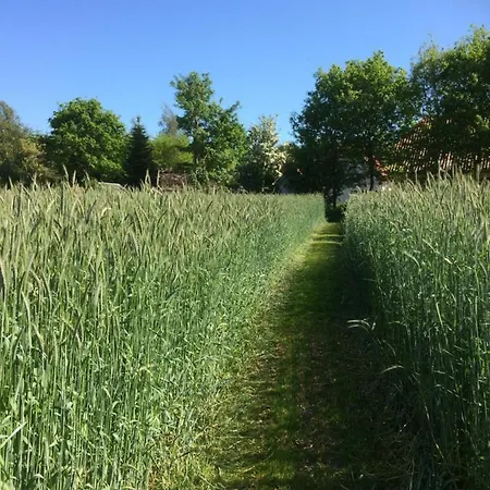 Billund - Assengaard 3* Give