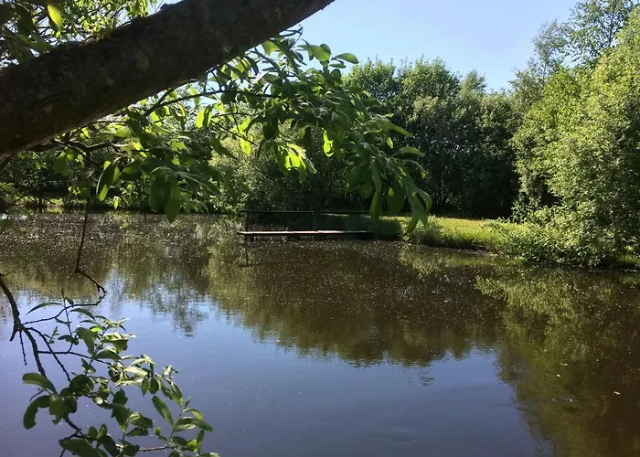 Bed & Breakfast Billund - Assengaard Give