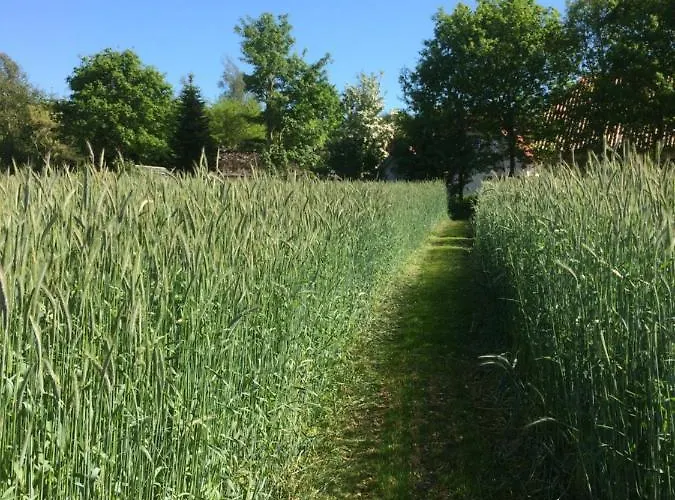 Billund - Assengaard 3* Give