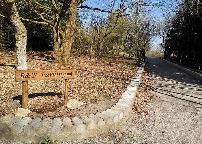 Billund - Assengaard Bed & Breakfast Give