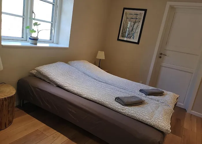 Bed & Breakfast Billund - Assengaard 3*